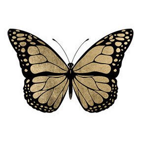 Gold & Black Monarch Temporary Tattoos (5-Pack) | Skin Safe | MADE IN THE USA| Removable