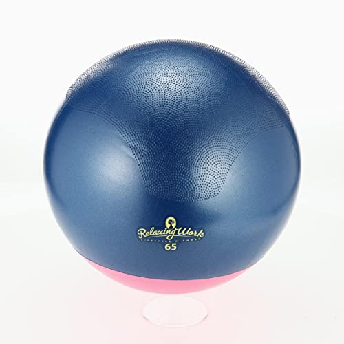 HATACHI ジムボールStayPlus 65cm 8枚目