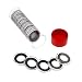 1 Airtite Coin Holder Storage Container & 20 Black Ring 16mm Air-Tite Coin Holder Capsules for 1/10oz Gold Eagles