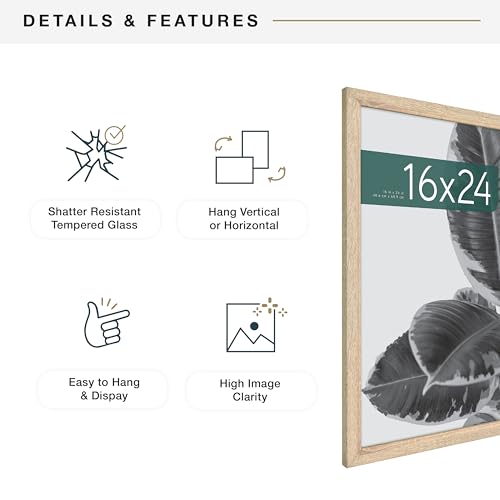 MCS Studio Gallery 16x24 Poster Frame Natural Woodgrain, Vertical & Horizontal Wall Hanging Large Picture Frame for Photos, Posters & Art Prints (1-Pack)