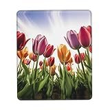 Plusieurs tailles disponibles : le tapis de souris rectangulaire est disponible en quatre tailles, 17,8 x 21,8 x 0,3 cm/7,9 x 24,5 x 0,3 cm/25,4 x 30,5 x 0,3 cm. C'est un bon choix pour le travail et les jeux.