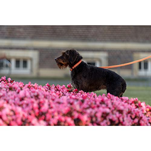 Verstellbares Halsband - reflektierend, neon orange, 30-45 cm