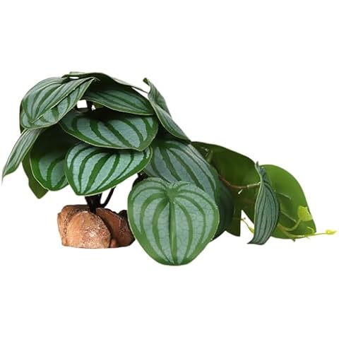 WOLEDOE Reptile Plants for Terrarium, Ball Python Tank Decor Accessories fit Bearded Dragon Crested Leopard Gecko Lizard Chameleon Snake Frog Tortoise Hermit Crab - Fake Calathea Orbifolia Cover