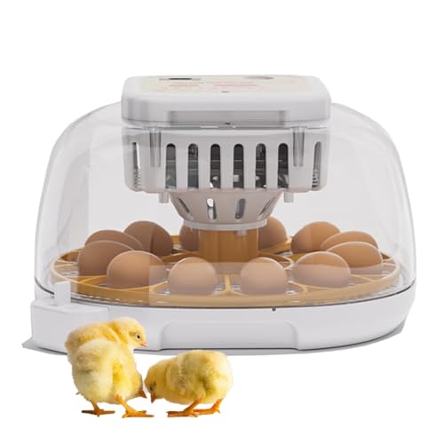 Incubateur pour œufs automatique de 12 poules et cailles avec éclosoir