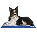 Arf Pets Pet Dog Self Cooling Mat Pad for Kennels, Crates and Beds 19 X 35