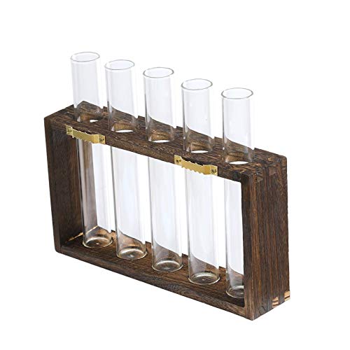 image for Kingbuy Wall Hanging Glass Planter Propagation Station Test Tube Vase 