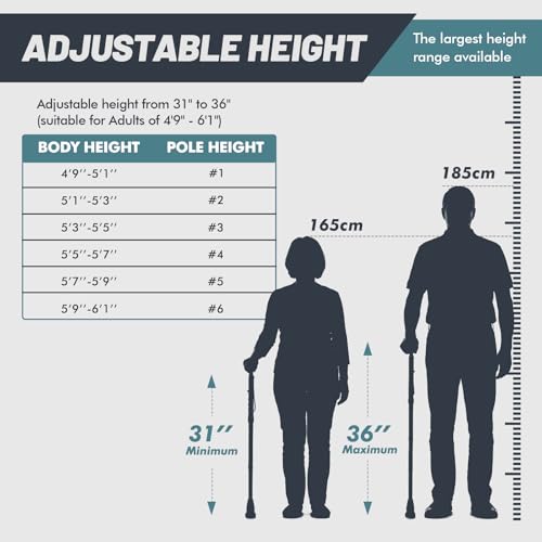 GPTCAMP G2 Walking Stick, Fold-up Walking Cane for Women and Men with Wrist Strap, Portable, Foldable, Collapsible, Lightweight and Sturdy with Comfortable T Handle by GPTCAMP - Image 6