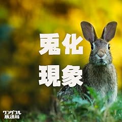 �e������ / �����_�t��������