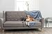 TRIXIE Decke Tammy - blau/beige 150 × 100 cm