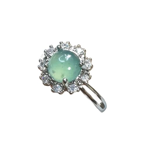 l?No. 1569 {Ő Y킢 O@e} f  uXbg