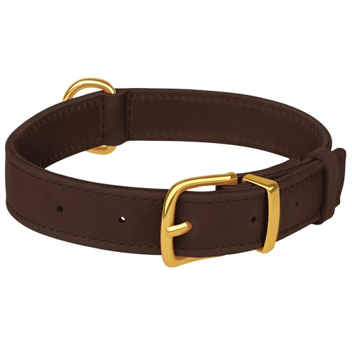 Collar de cuero para perro ajustable L 15-19 pulgadas miniatura 6