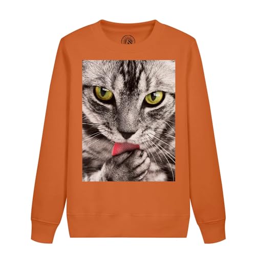 Sweatshirt enfant chat tigré le cadeau parfait pour les jeunes amoureux des animaux