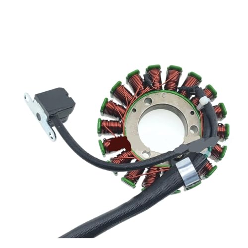 Bobine d'allumage et stator pour rénover le circuit électrique DRZ400E