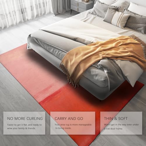 Tapis antidérapant lavable résolvant les glissades et les taches - 5
