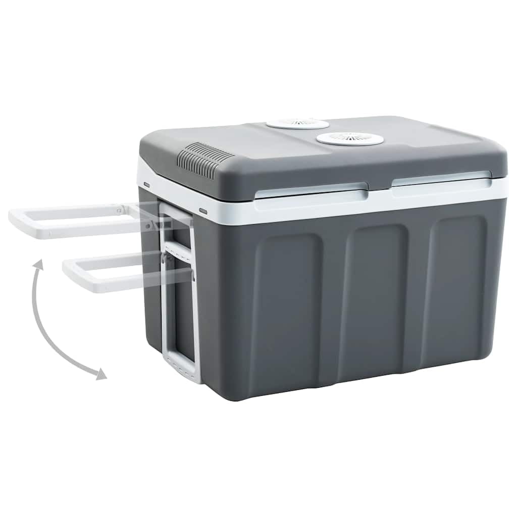 vidaXL Glacière Portable thermoélectrique 40 L 12 V 230 V E