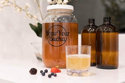 Brew Your Bucha Kombucha Tea SCOBY with starter fluid. SCOBY grown with our premium hand-selected black Yunnan Gold Tea (1)
