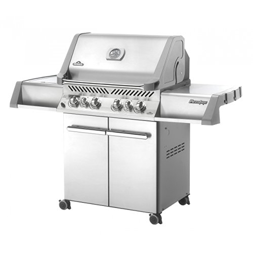 Preisvergleich Produktbild Napoleon Prestige 500, Edelstahl, Erdgas