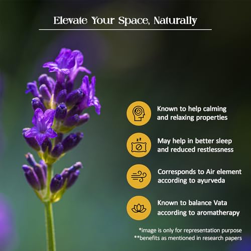 Image of Lavender Reed Diffuser Set by Tattvic Essence | 6 Fiber Reed Sticks Free | Stress Relief & Aromatherapy | Long-Lasting, Smoke-Free Air Freshener for Home, Bedroom & Office | Ideal for Gifting | 120ml