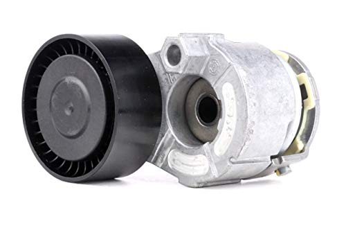 Ina 529 0009 10 Cinghia di Distribuzione