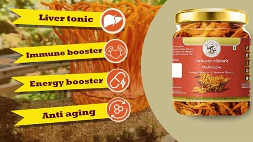Image of Cordyceps Militaris Dried Cordyceps Mushroom (35g) | Premium Cordyceps Fungus for Energy, Endurance & Immunity | Pack of 1