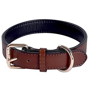 Genuine Leather Adjustable Dog Collar of Soft Thick Padded Collars Best for Small Medium Large Breed Dogs(Brown) (Medium)
