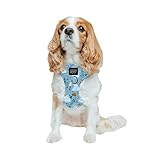 Sassy Woof Dog Adjustable Harness - Disney Princess Cinderella - S, Breathable Mesh, No Pull Design with Two D-Rings, Perfect for Small Dogs and Puppies - Officially Licensed