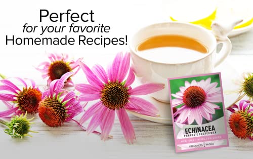Purple Coneflower Seeds Echinacea Seeds For Planting - Non-Gmo, Open Pollinated Beautiful Echinacea Plant Seeds Great For Herbal Tea Gardens And Medicinal Herbs By Gardeners Basics #TOP2