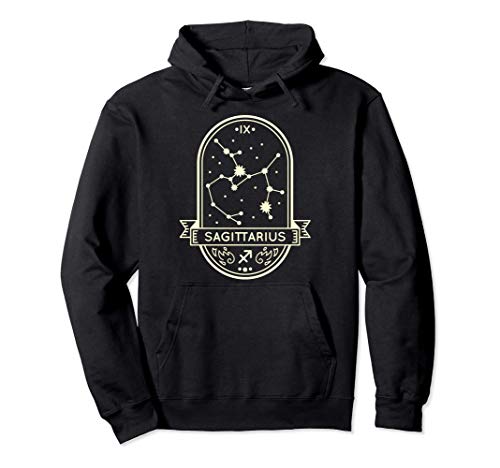 Aquarius Zodiac Sign Aquarian Constellation Scorpio Symbol Sudadera con Capucha
