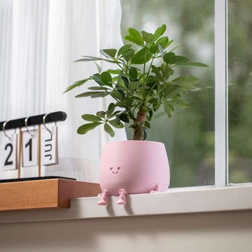 Image of TOPOLA Happy Face Planter, 5.2 Inches Plastic Plant Pot, Self Watering Plant Pot with Drainage Holes for Indoor Outdoor, Succulent Pot, Funny Flower Pot, Sakura
