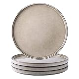 GBHOME Stoneware Dinner Plates Set of 4, 10.5 Inch Reactive Glaze Ceramic Plates Set,Modern Dinnerwa