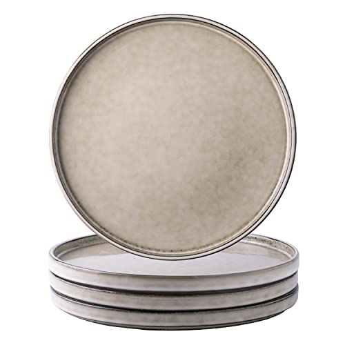 Gbhome Stoneware Dinner Plates Set Of 4, 10.5 Inch Reactive Glaze Ceramic Plates Set,Modern Dinnerware Dishes Set For Kitchen,Microwave, Dishwasher Safe, Scratch Resistant #TOP10