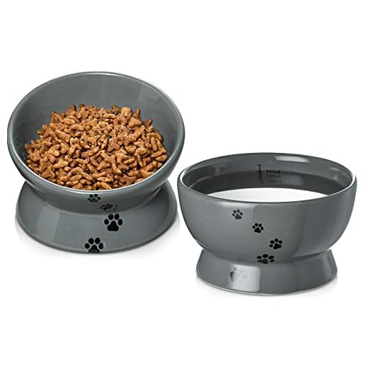 Y YHY Raised Cat Food and Water Bowl Set, Tilted Elevated Cat Food Bowls No Spill, Ceramic Cat Food Feeder Bowl Collection, Pet Bowl for Flat-Faced Cats and Small Dogs, Set of 2, Grey