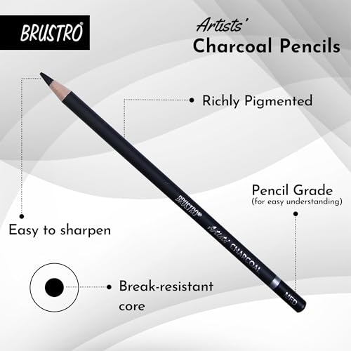 BRUSTRO Artists Charcoal Pencil - Set of 4 (3 Black Shade - Soft, Medium, Hard and 1 White - Medium) | Ideal for Drawing, Shading, Coloring, Sketching, Artwork, Portrait, Landscape, Smooth Blending