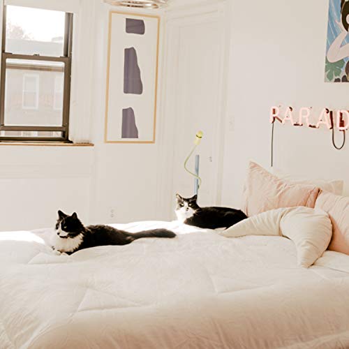 Buffy Cloud Comforter - Hypoallergenic Eucalyptus Fabric - Full/Queen