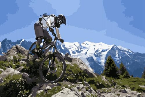 AAJJCENS �������G �}�E���e���o�C�N �X�|�[�c �A�[�g �L�����o�X ��h�� �C���e���A ���S�Ҍ��� �M�t�g �Ǌ|�� �����ł�� ���G �z�[�� �I�t�B�X���� 40x50cm (�t���[���t��)