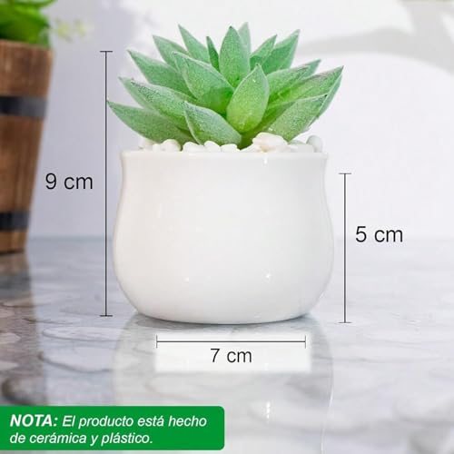 Mejores comprativas On-line Plantas artificiales para oficina de esta semana. 49 Imagen adicional