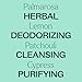 Plant Therapy Deodorizing Essential Oil Blend 10 mL (1/3 oz) 100% Pure, Undiluted, Therapeutic Grade