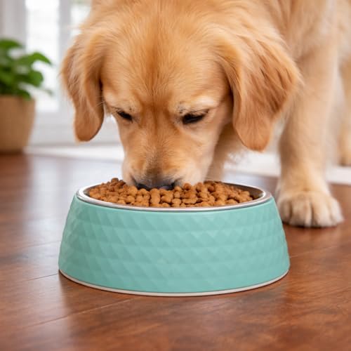 Image of Zigly Lifestyle Pet Food Bowl | Dog Bowl for Medium Dogs & Cats | BPA-Free Melamine Bowl for Dogs with Removable Stainless Steel | Anti-Skid Dog Food Bowl - 400ml, Green
