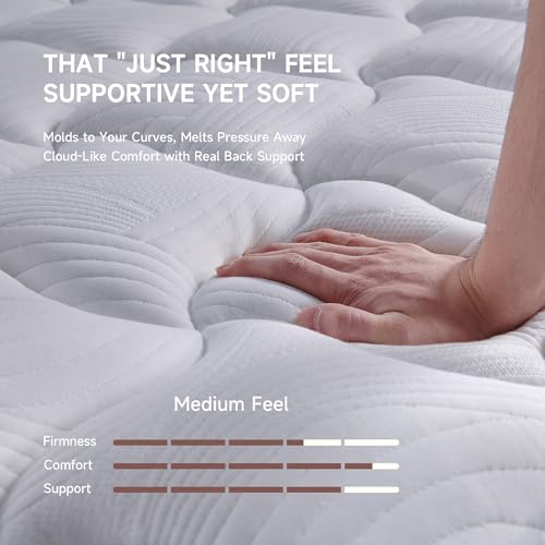 DINBooonLUX Queen Size Mattress,12 Inch Hybrid Queen Mattress in a Box with Memory Foam and Zoned Support Spring,Motion Isolation,100 Night Trial,Medium Firm,CertiPUR-US.