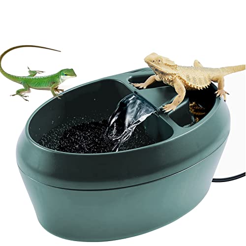 Bearded Dragon Automatic Feeder Best Way To Keep Your Beardie WellFed
