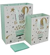 WRAPACK Birthday Gift Bags with Tissue Paper and Gift Tag, 9'' Medium and 13'' Large Blue Assorte...