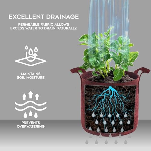 Image of OON Geo Grow Bag for Terrace and Flowers Vegetable Gardening, Premium Geo Fabric 450 GSM Plant Bags, Maroon Color, Eco Friendly Geo Fabric (10, Maroon, 12X12 INCH)