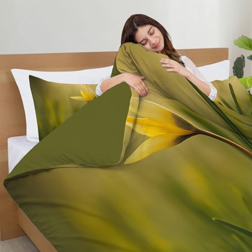 Parure de lit 220x240cm microfibre infroissable pour en finir avec le repassage