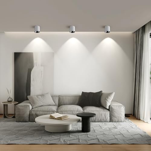 Image of JAYMP Modern LED Ceiling Light 4000K Dimmable 24W COB White Surface Mount Cylinder Accent Down Light for Living Room Hallway Laundry Room
