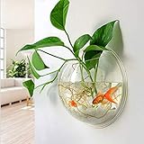 Dieses Produkt ist aus hochwertigem Acryl Material Produktion, mit einem vergleichbaren Sinn von transparentem Glas und robust als Glas, hohe Lichtdurchlässigkeit des Acrylmaterials, nachdem Sie es mit Wasser und Goldfisch, durch Licht füllen, wird hell und schöne Ergebnisse.
