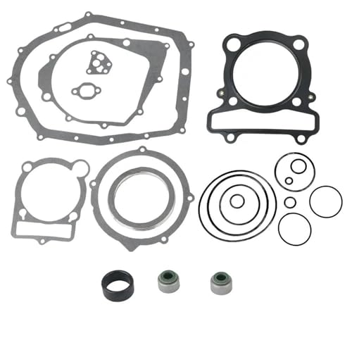 Joint moteur kit complet pour réparer les fuites d'huile Warrior Raptor 350