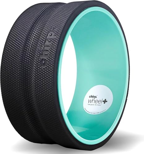 Chirp Wheel Foam Roller – Targeted Back & Neck Relief, Lumbar Spine Stretcher, Spinal Decompression Back Stretcher, Massage Roller with Density Foam for Physical Therapy, Supports 500lbs, 10-Inch Mint