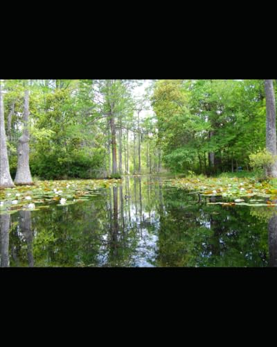 "TE LIRE FAIT DU BIEN�c": ? Un livre Pour Grandir et Mieux Vivre ?