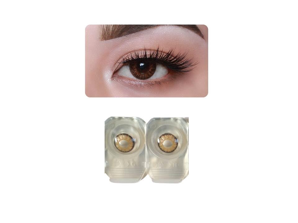 Hazel and Dark Brown MD Sparkle 2 Pairs of Monthly Color Contact Lens With Case, Lens Holder and 60 ML Solution (B09GY4WTCL) Amazon Price History, Amazon Price Tracker