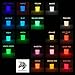 PRESTIGE GLOW IN THE DARK Pigment Powder. Longest Lasting Glow in The Dark Powder. Recommended for All COLORLESS Medium. Ink. Paint. Plastic Resin. Glass. ETC. (16g (16 x 1g), Sample Pack)